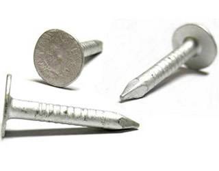 Roofing nails and wire nails supplied wholesale in Indore